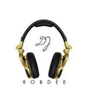 downloadsking
