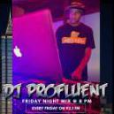 PROFLUENT