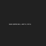 Sean Orpen MS LMFT Inc