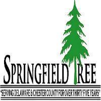 Tree Removal Chadds Ford