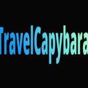 Travelcapybara