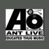 AntLive609