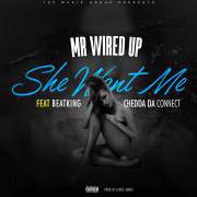 MrWiredup