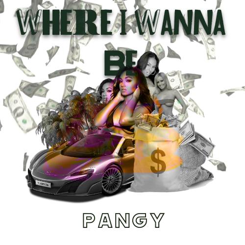 850701766_PANGY-WhereIWannaBe.thumb.jpg.d1f4426d87c8bf0835feeb23b20dd84e.jpg