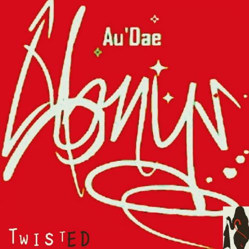 01 Twisted Cover.jpg