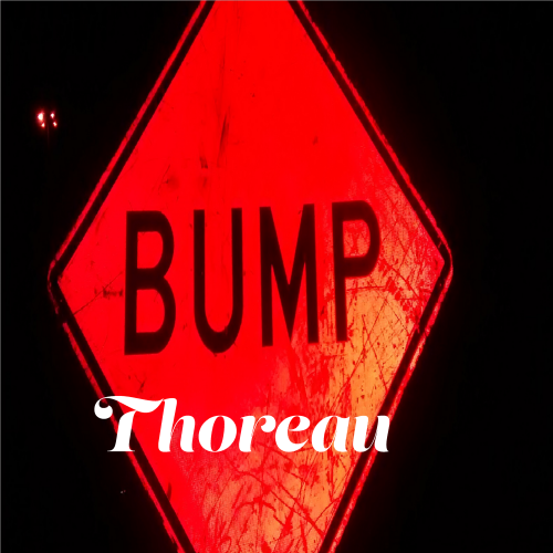Bump P Johnson - Thoreau.png