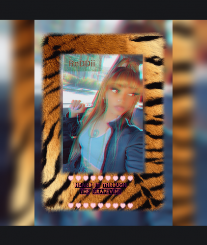 Screenshot 2024-02-21 at 7.50.47 PM.jpeg.png